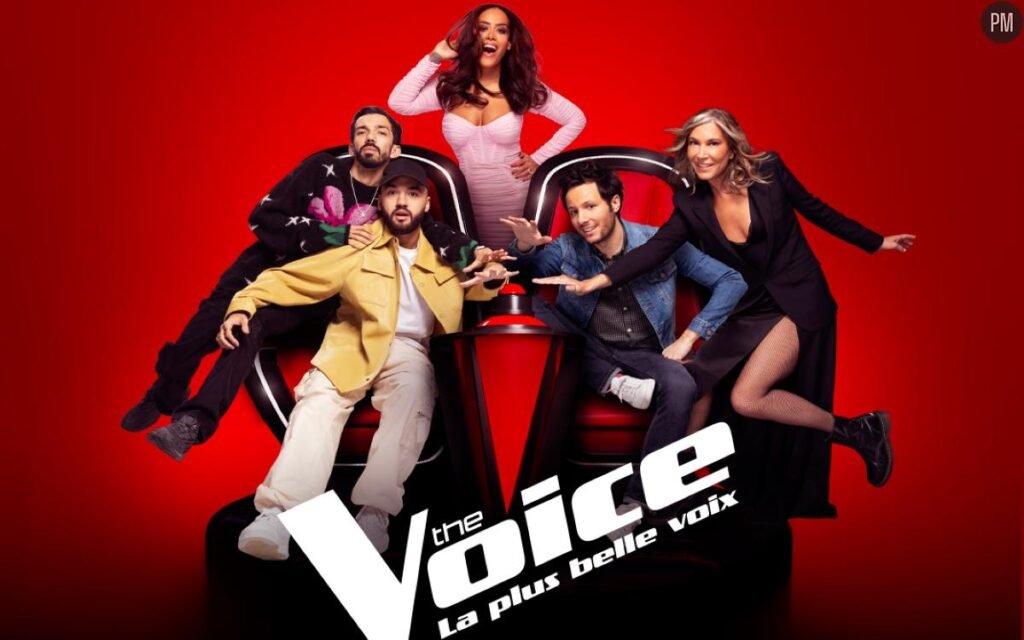 The voice France, la plus belle voix